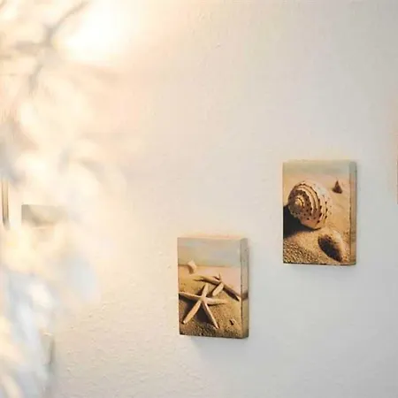 5 Id 103 Appartement