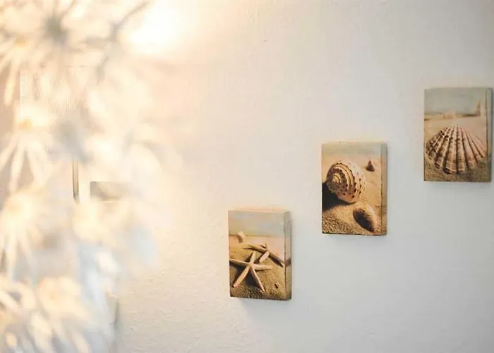 5 Id 103 Appartement